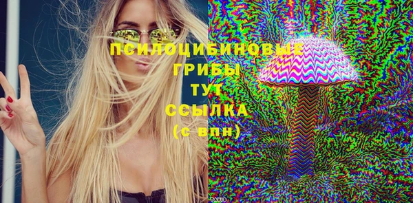 хмурый Армянск