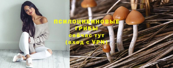 марки lsd Балабаново