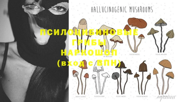 хмурый Армянск